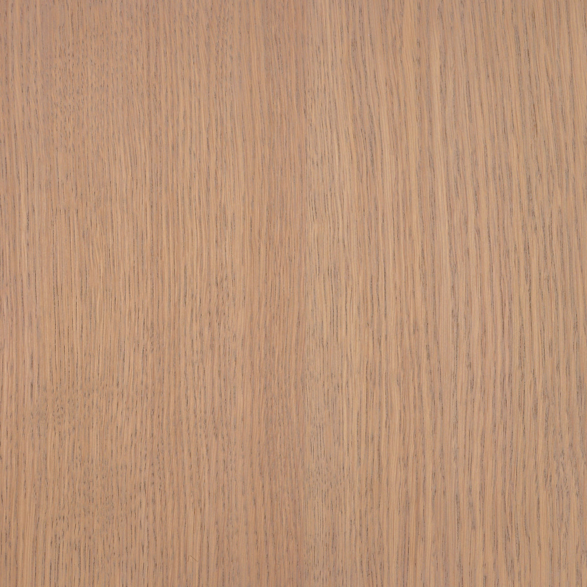 Rubio Monocoat Oil Plus 2c (A Only) 100ml Tester