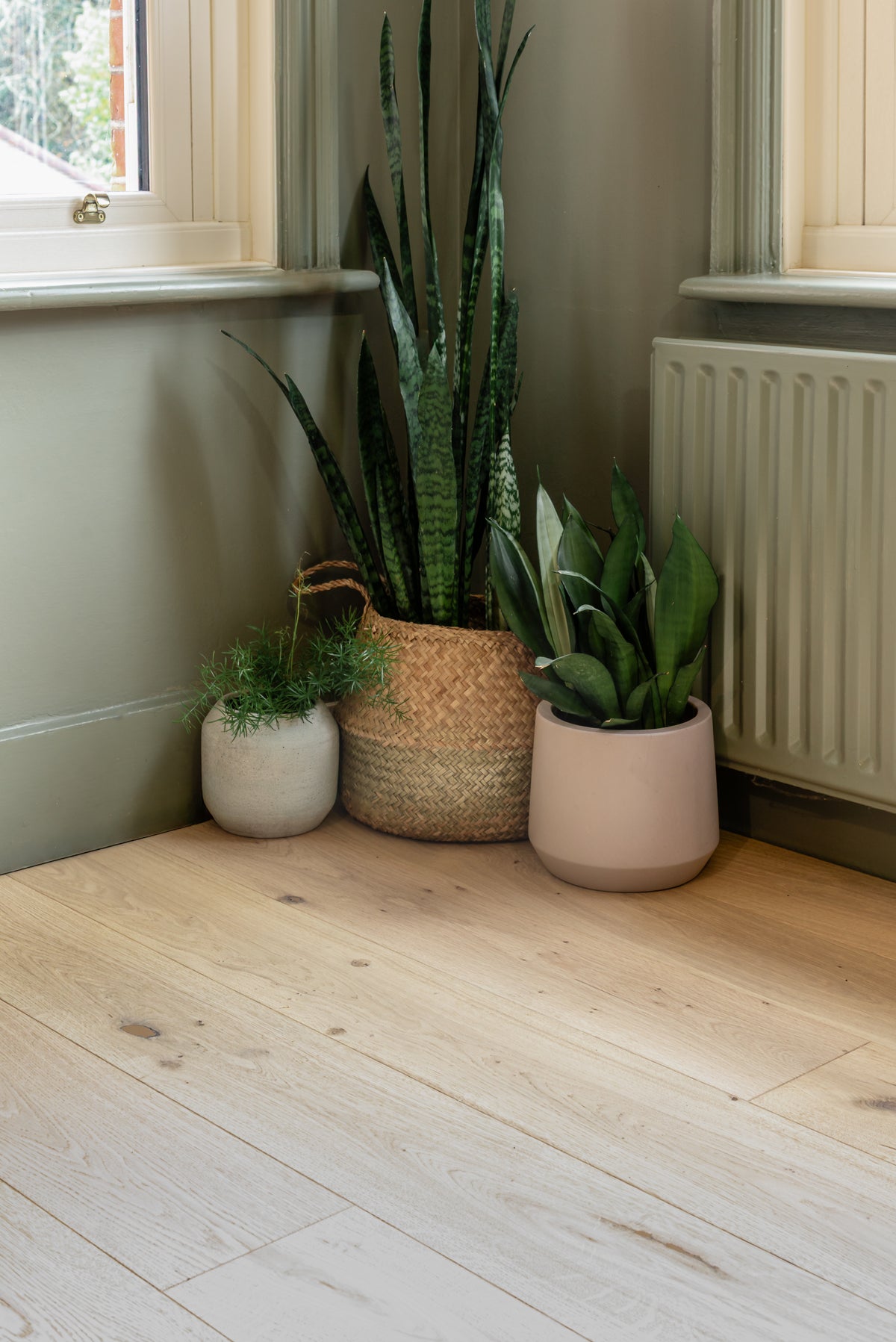 Three potted house plants on a light plank wood floor in a corner of a room with a window and radiator.